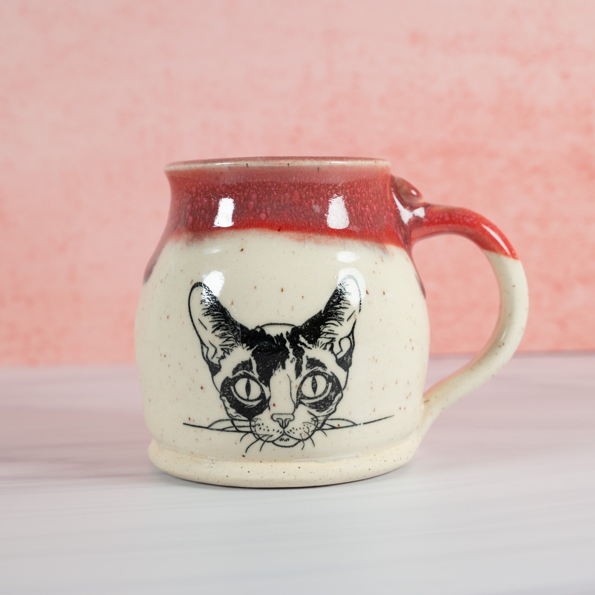 Sphynx Cat Coffee Mug
